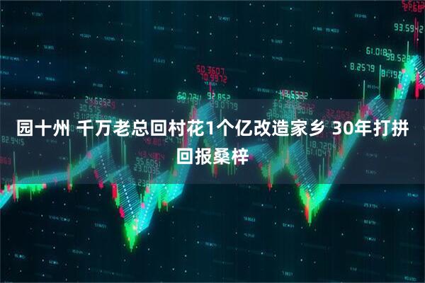 园十州 千万老总回村花1个亿改造家乡 30年打拼回报桑梓