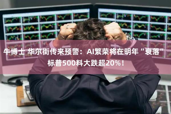 牛博士 华尔街传来预警：AI繁荣将在明年“衰落” 标普500料大跌超20%！