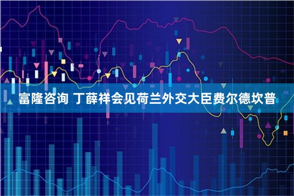 富隆咨询 丁薛祥会见荷兰外交大臣费尔德坎普